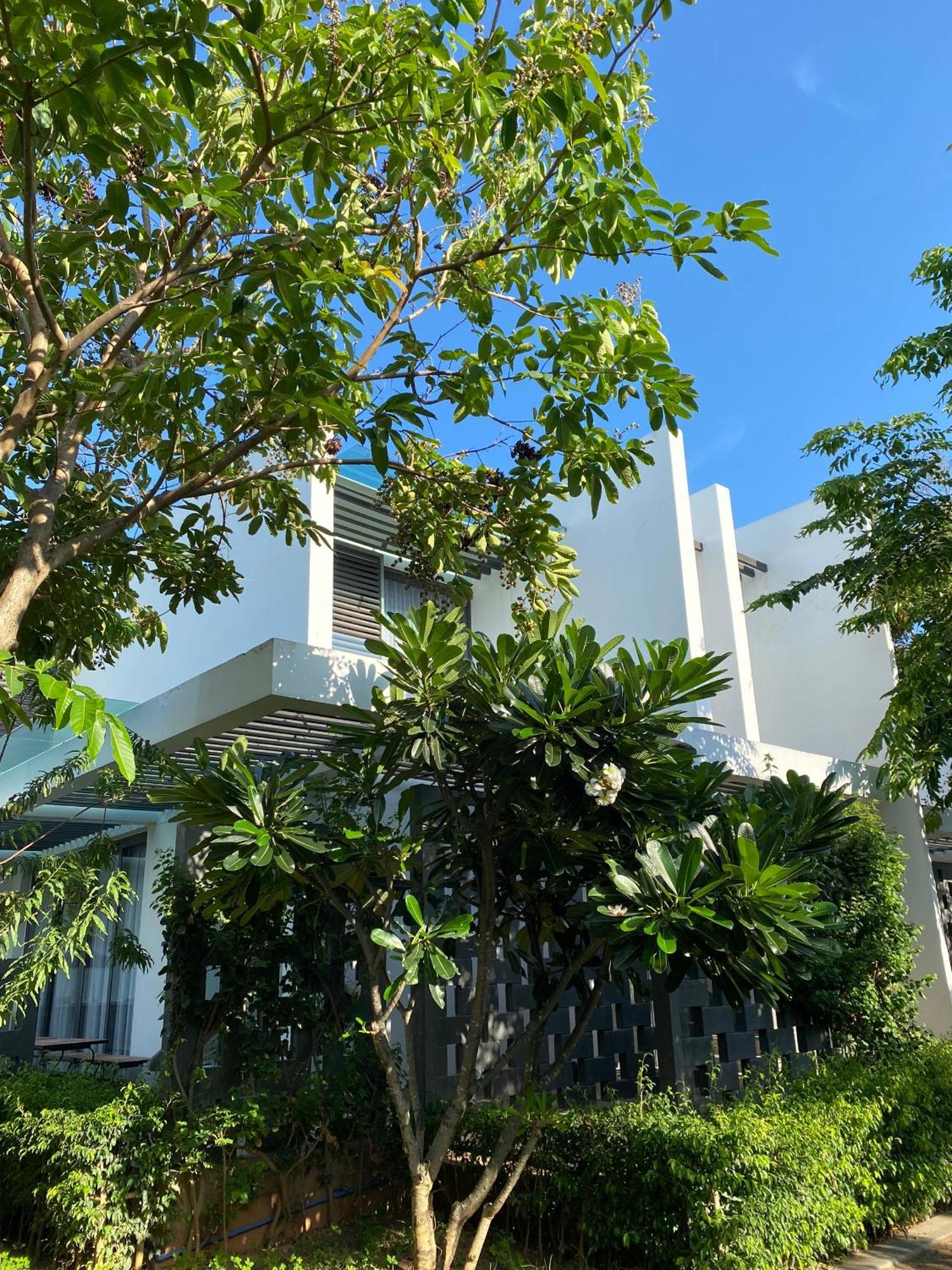 Khach San - Resort Oceanami - Long Hải Exterior foto